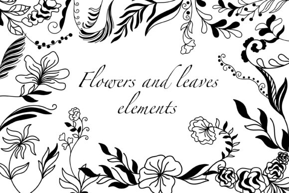 Flowers and Leaves Elements Graphics for Illustrations
