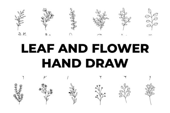 Hand Drawing of Leaves and Flowers Review