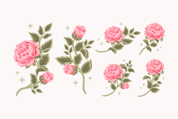 Magical Vintage Spring Pink Rose Flowers Graphics and Illustrations Review