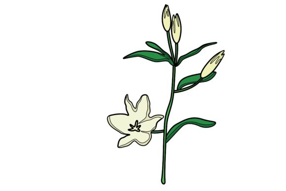 Spring White Flowers Sticker Vector Graphics and Illustrations